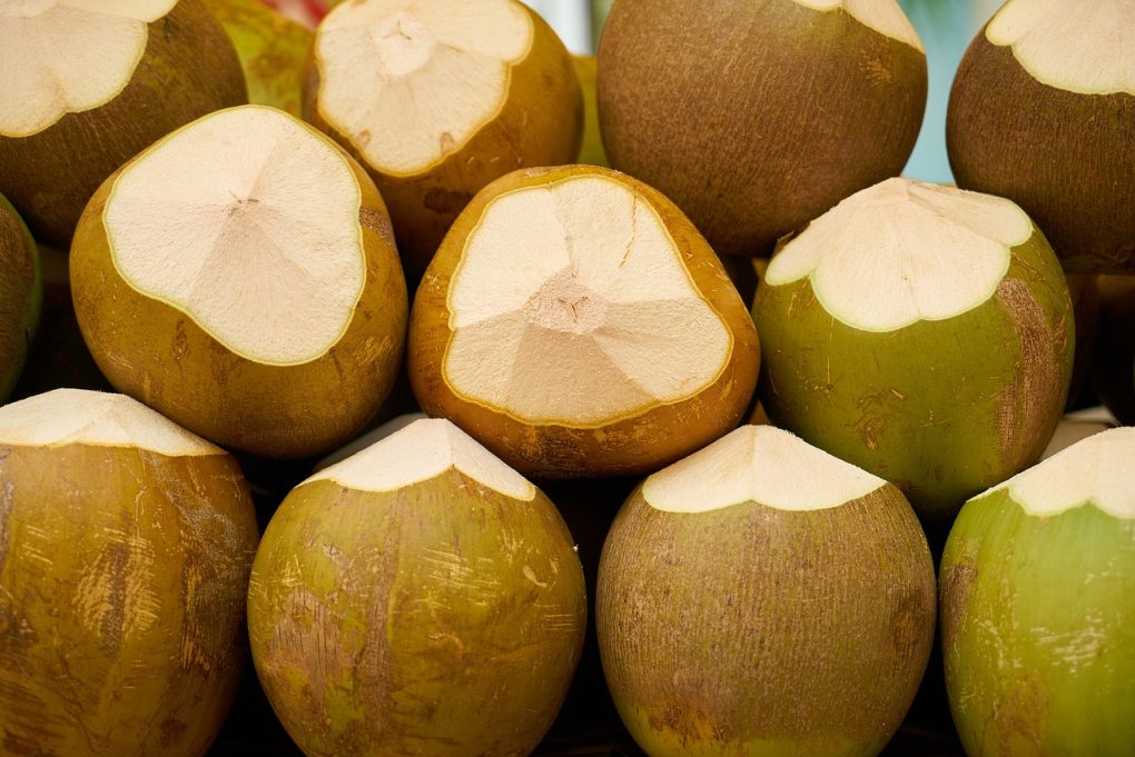 coconut, fruit, tropical-2308864.jpg